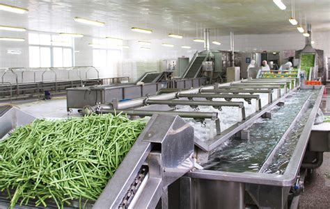 Fruit processing equipment & lines .